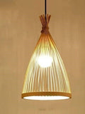 Lampshade Broom (Without Electrical  Accessories)