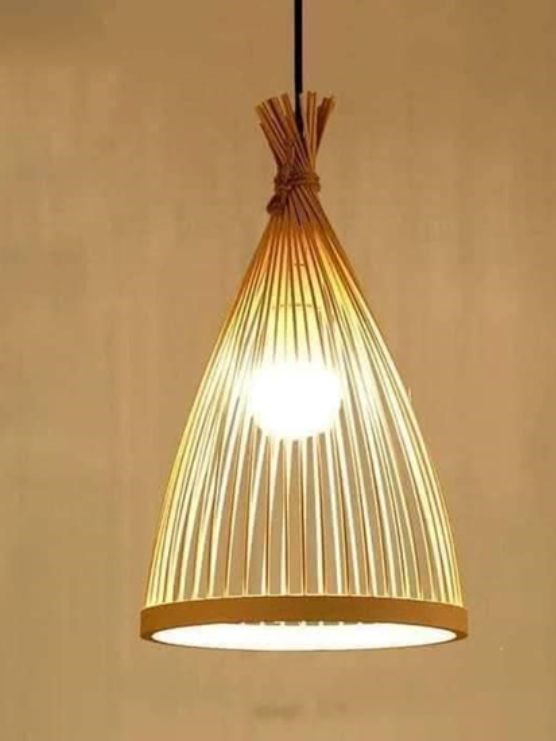 Lampshade Broom (Without Electrical  Accessories)